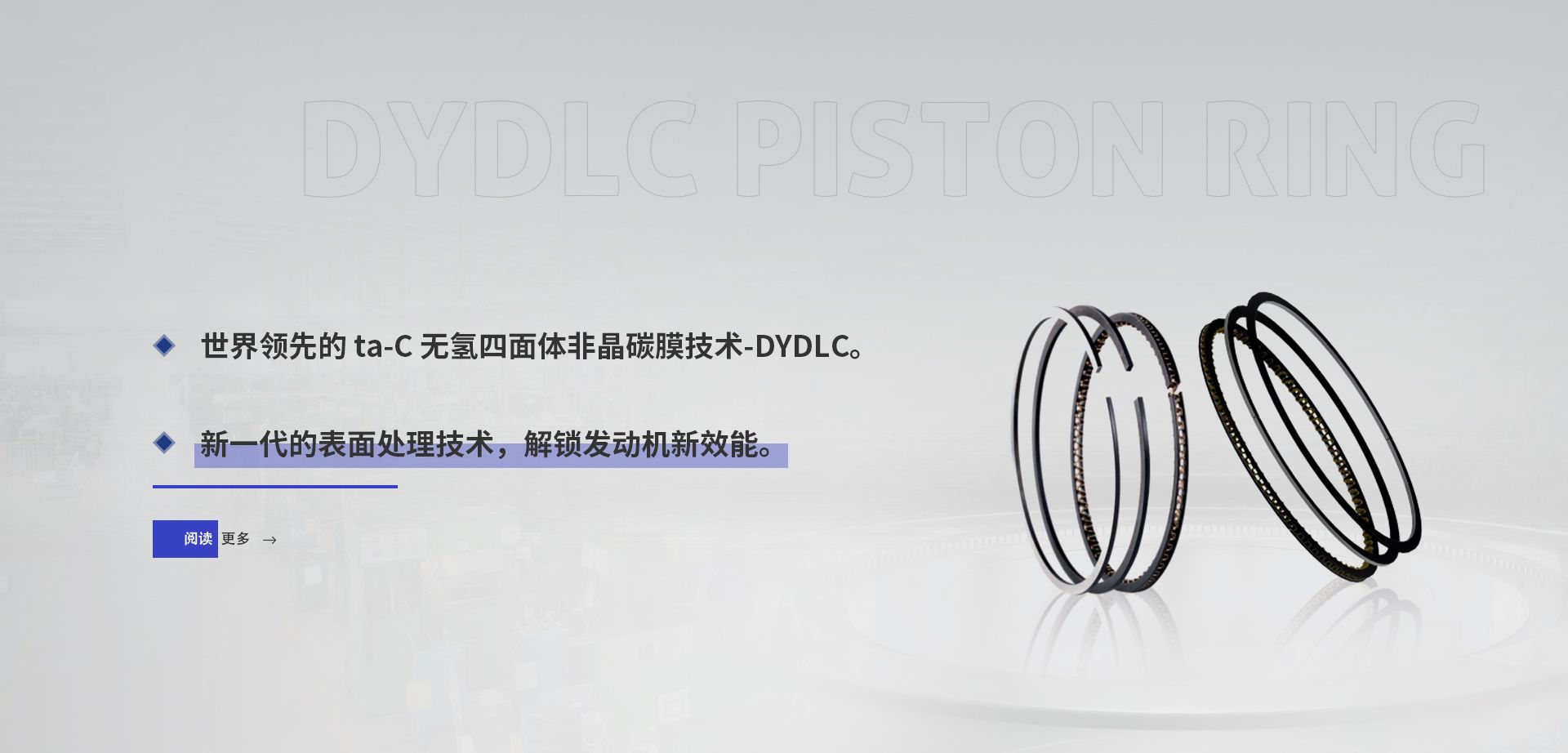 DYDLC 活塞環